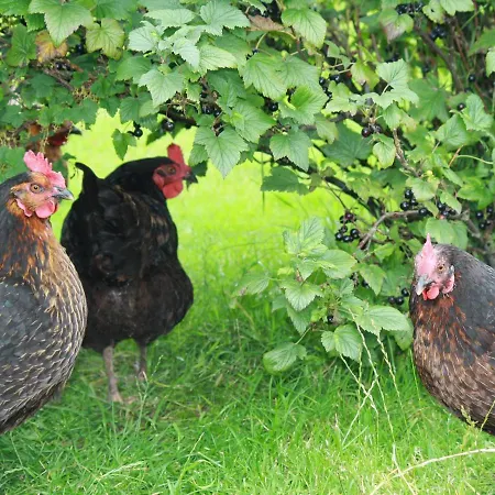 The Bothy High House Farm